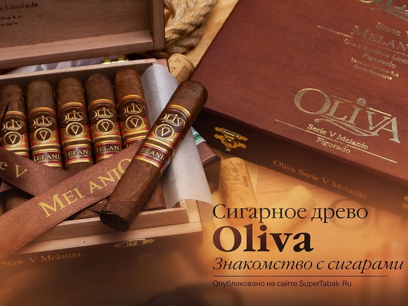   Oliva