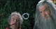 Gandalf the grey