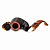 ������ Savinelli Tortuga - Rustic 614 (6 �� ������)