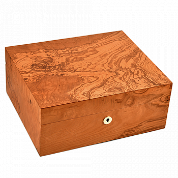 �������� ��� ����� Adorini - Salento Medium Deluxe (75 �����) - 16691