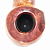  Winslow - Crown 200 - 227 ( 9 )