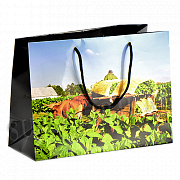 ���������� ����� - Vega de tabaco (Habanos) �� 10 �����