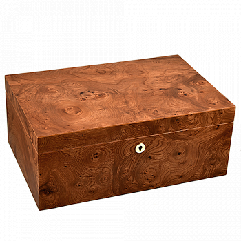�������� ��� ����� Adorini - Special Select Grande Deluxe Elm Bur (150 �����) - 16620