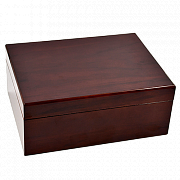  Aficionado - Bellevue (50-60 )