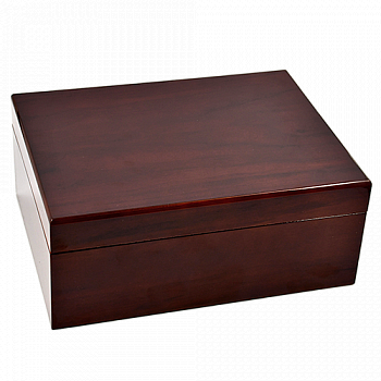  Aficionado - Bellevue (50-60 )