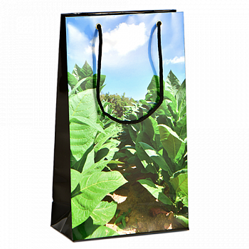 ���������� ����� - Vega de tabaco (Habanos) �� 5 �����