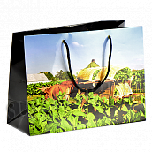 ���������� ����� - Vega de tabaco (Habanos) �� 10 �����