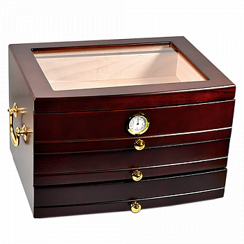 �������� ��� ����� Aficionado - Regent (75 �����)