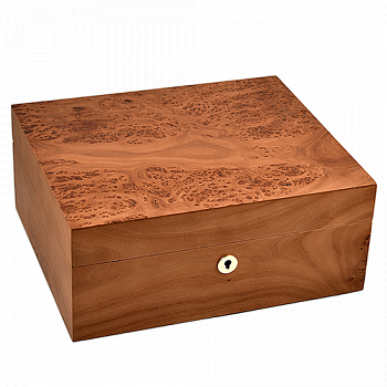 �������� ��� ����� Adorini - Catania Elm Bur Medium Deluxe (75 �����) - 16693